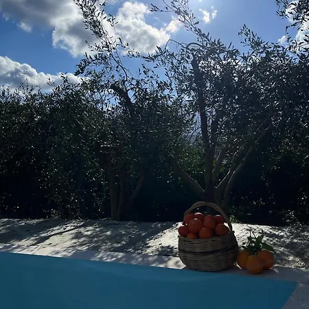 Olives Garden Vlorë