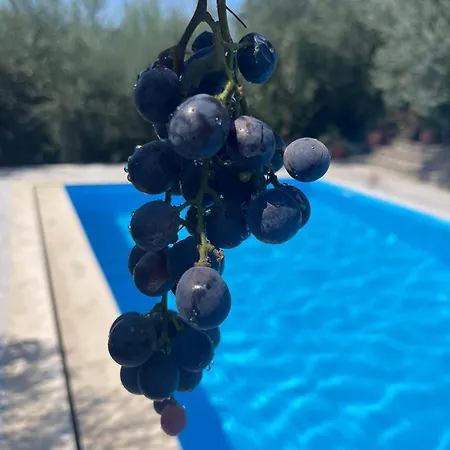 Βίλα Olives Garden
