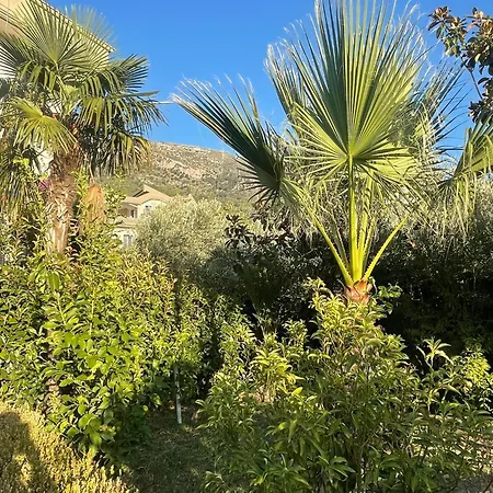 Olives Garden Βίλα Vlorë
