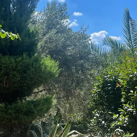 Βίλα Olives Garden