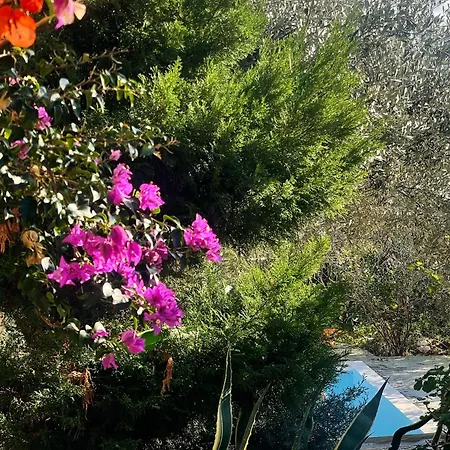 Olives Garden Βίλα *