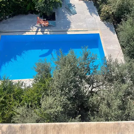 Olives Garden * Vlorë